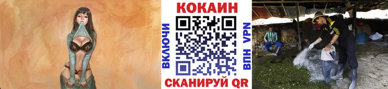где найти   Арск  Кокаин Перу 