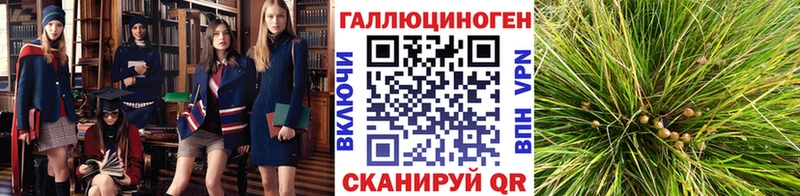 Галлюциногенные грибы мухоморы  Арск 